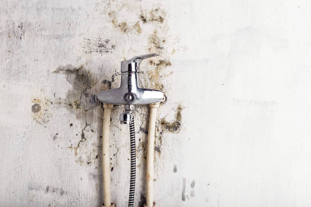 Best Mold Testing  in Weston Mills, NY