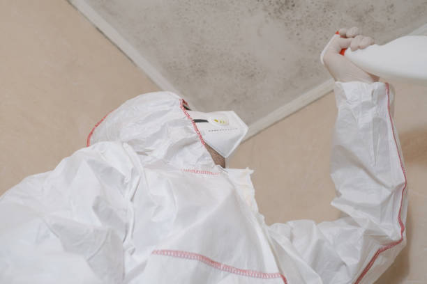 Best Best Mold Removal Companies  in Weston Mills, NY