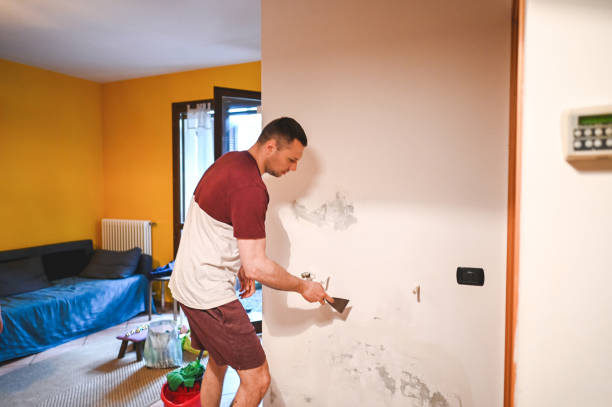Best Certified Mold Removal  in Weston Mills, NY